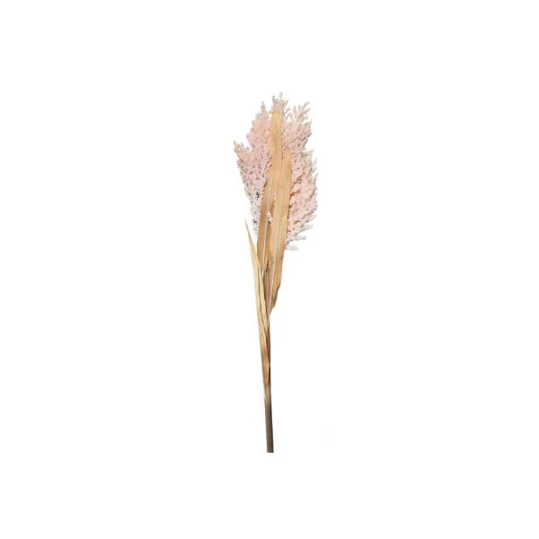 Baby Breath Branch - Image 5