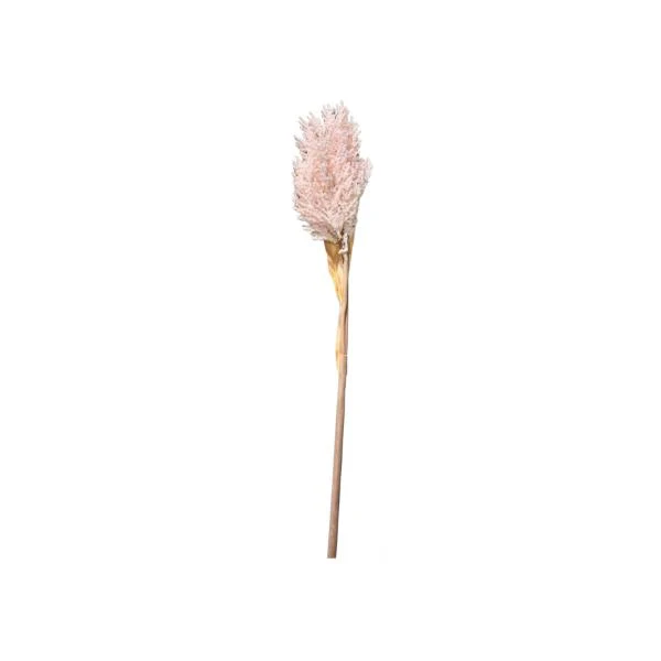 Baby Breath Branch - Image 6