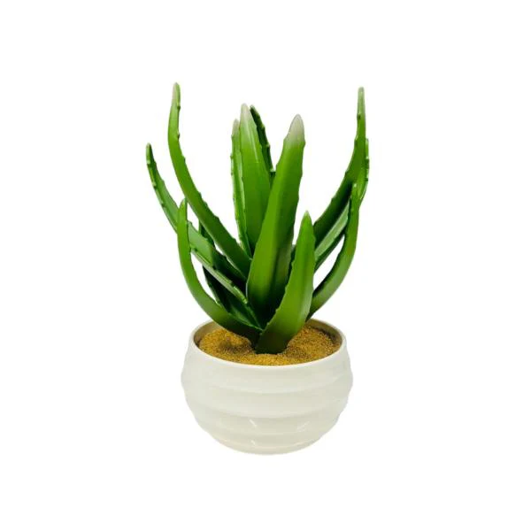 Ceramic Potted Cacti - 30cm - Image 3
