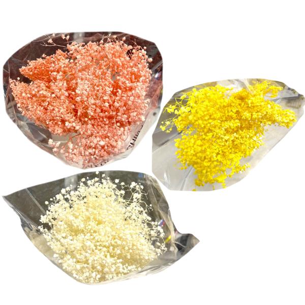 Coloured Silicon Dried Baby Breath Bouquet