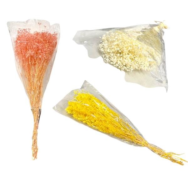 Coloured Silicon Dried Baby Breath Bouquet - Image 4