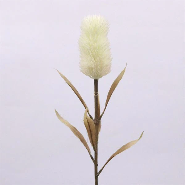 Cream Cirsium Spray - 77cm