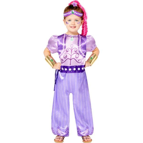 Purple Shimmer & Shine Costume - 4 - 6 Years