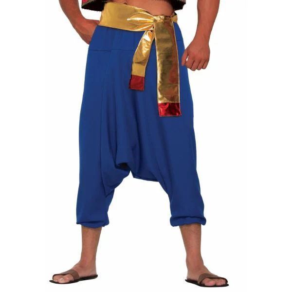 DESERT PRINCE PANTS BLUE_STD - Image 2