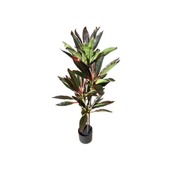 Dark Green Dracaena Potted Plant - 120cm - Image 4