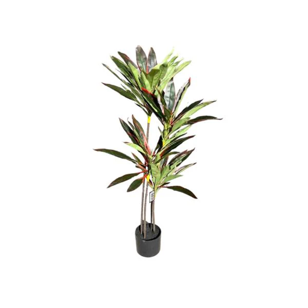 Dark Green Dracaena Potted Plant - 120cm - Image 5