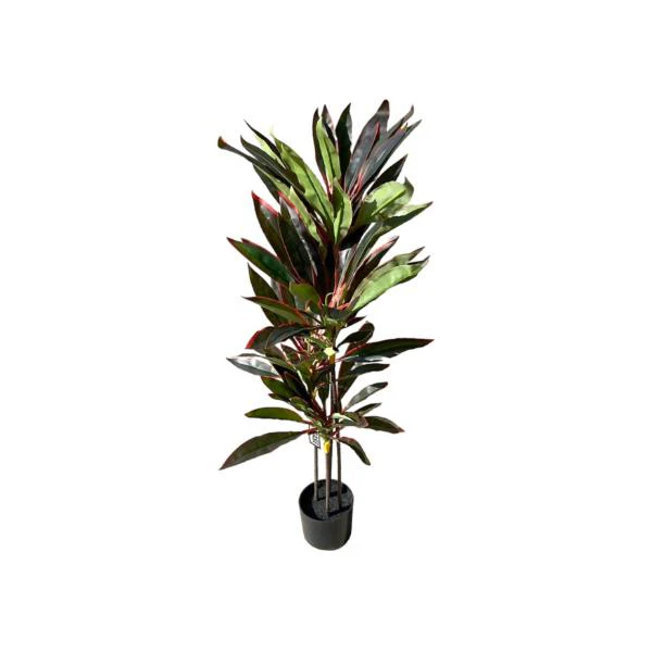 Dark Green Dracaena Potted Plant - 120cm - Image 8