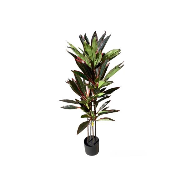 Dark Green Dracaena Potted Plant - 120cm - Image 9
