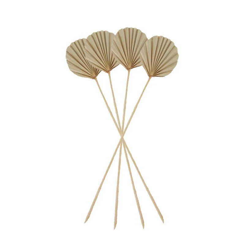 Dried Natural Round Spear Palm - 12cm x 55cm