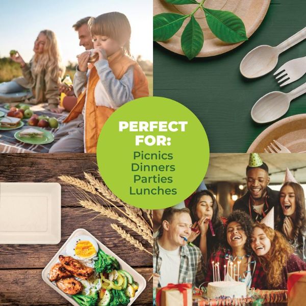 12 Pack X-Large Eco Friendly Serving Tray - 28.5cm x 19.5cm - Image 3