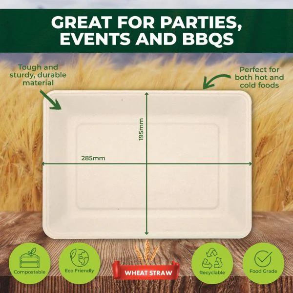 12 Pack X-Large Eco Friendly Serving Tray - 28.5cm x 19.5cm - Image 4