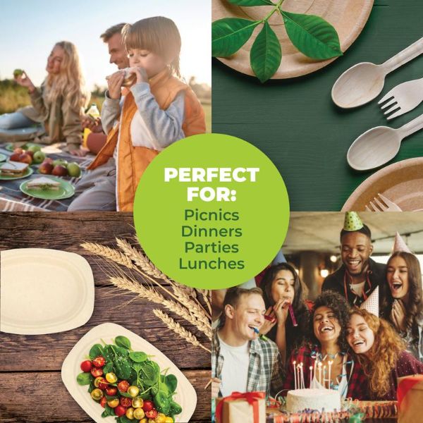 30 Pack Oblong Eco Friendly Dinner Plate - 23cm - Image 3