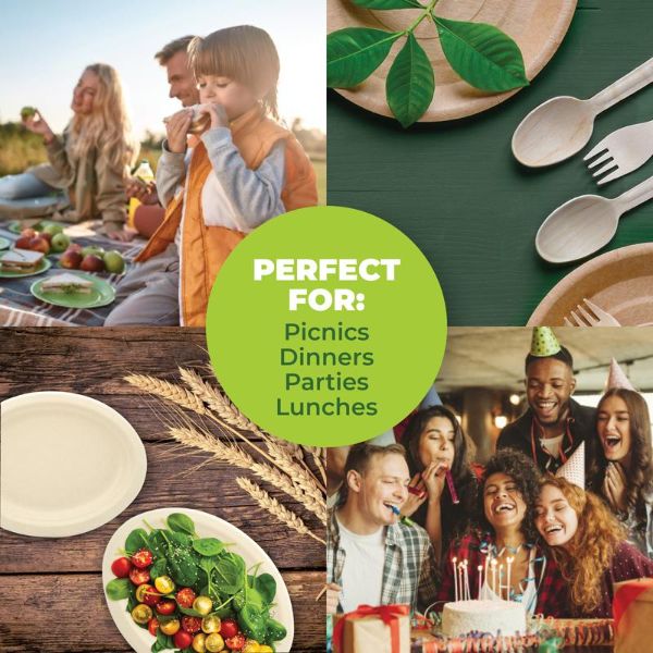 30 Pack Oval Eco Friendly Wheat Straw Dinner Plate - 26cm - Image 3