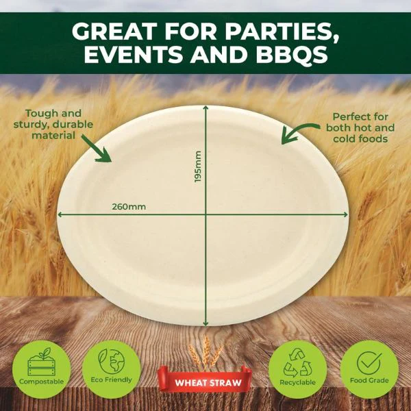 30 Pack Oval Eco Friendly Wheat Straw Dinner Plate - 26cm - Image 4
