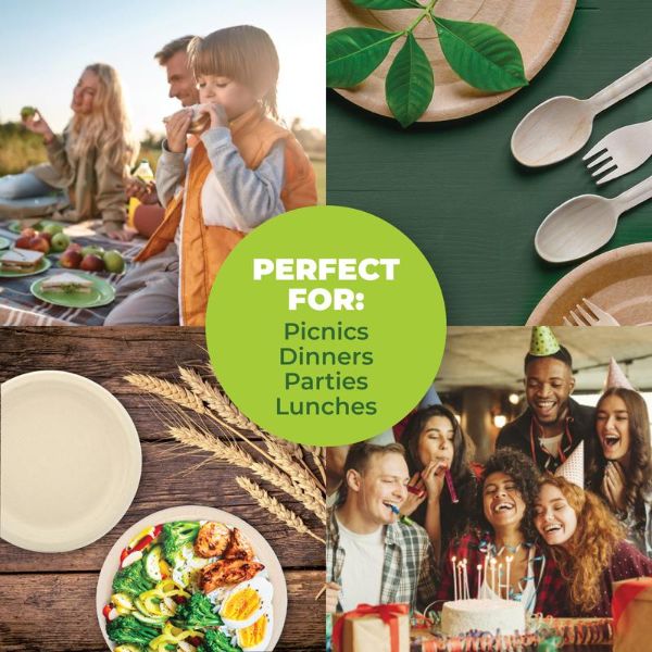 30 Pack Round Eco Friendly Wheat Straw Dinner Plate - 23cm - Image 2