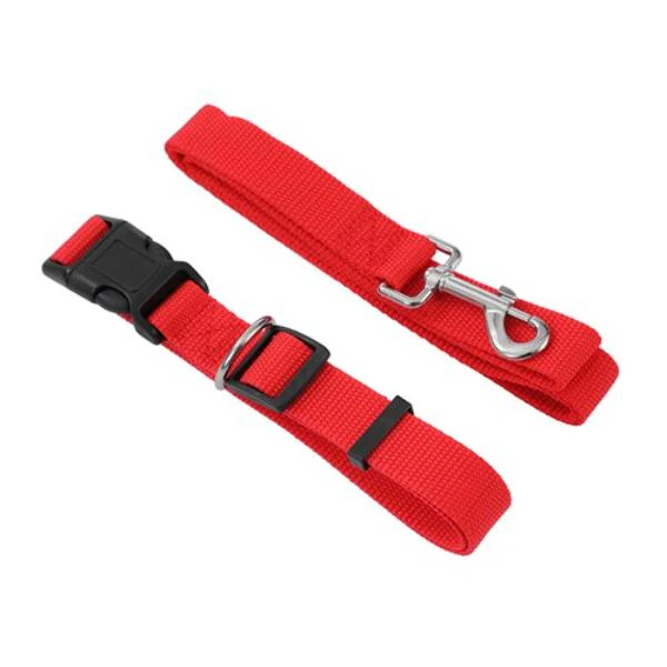 Large Essentials Collar & Lead Set - 120cm x 2.5cm - Image 2