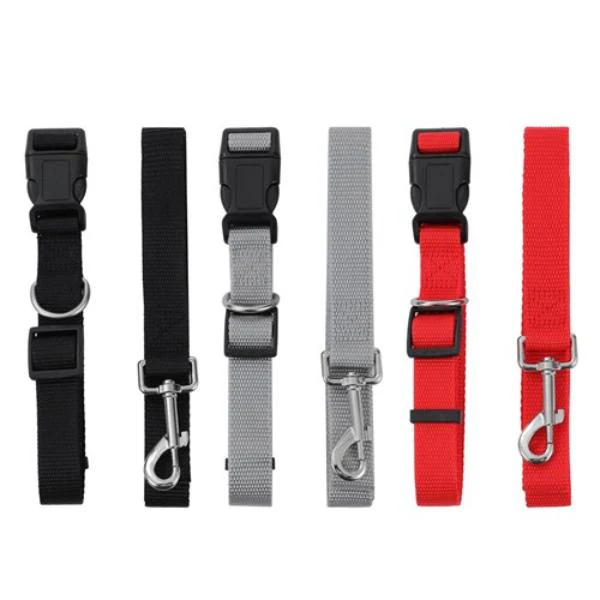 Large Essentials Collar & Lead Set - 120cm x 2.5cm - Image 3