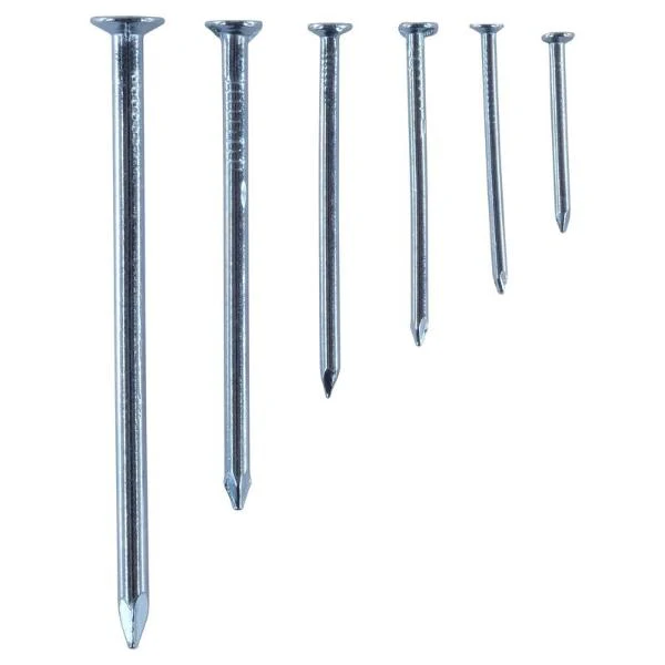 530 Pack Fasteners & Fixings Assorted Galvanised Iron Flat Head Nails In Storage Case - Image 2