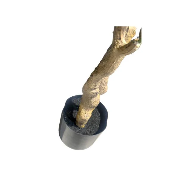 Green Frangipani Flower Tree - 130cm - Image 2