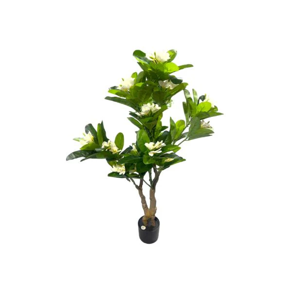 Green Frangipani Flower Tree - 130cm - Image 3
