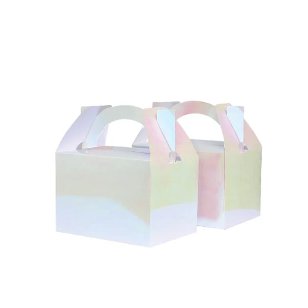 10 Pack Iridescent Little Lunch Box - 12.5cm x 13.5cm x 8.5cm