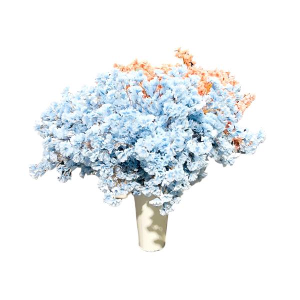 Assorted Genko Branch - Image 4