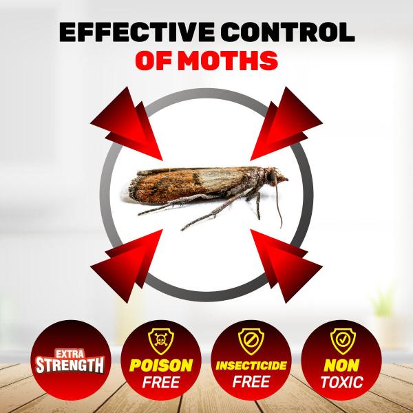 6 Pack White & Clear Glue Moth Trap - 13cm x 10cm - Image 3