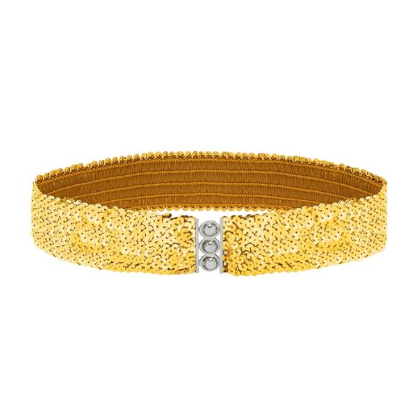 Golden Sequin Belt - Image 2