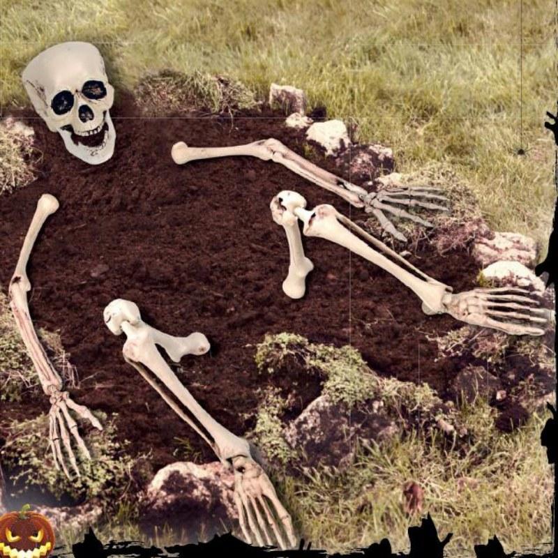 Ground Breaker Skeleton