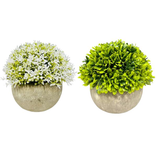 Half Potted Ball Plant