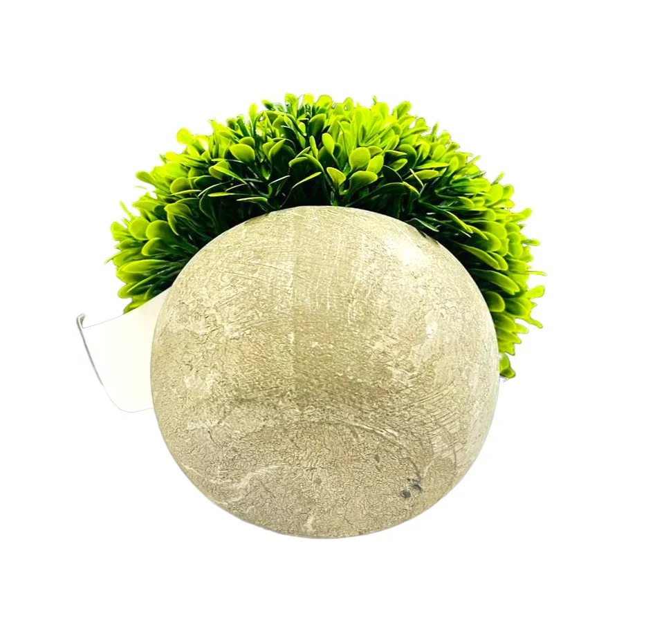 Half Potted Ball Plant - Image 2