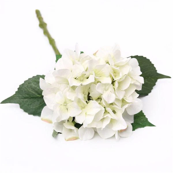 Ivory Hydrangea - 50cm