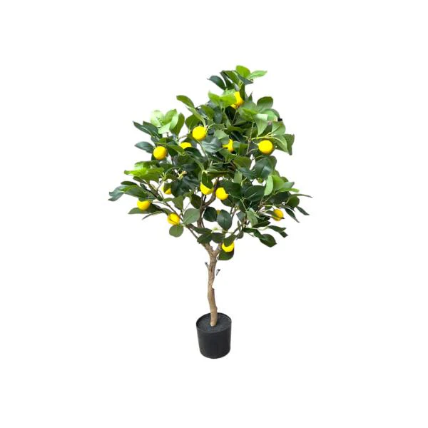 Green Lemon Tree - 90cm