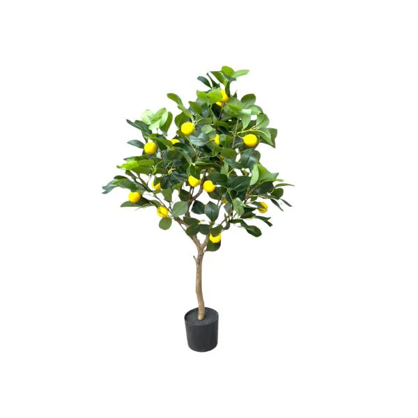 Green Lemon Tree - 90cm - Image 2