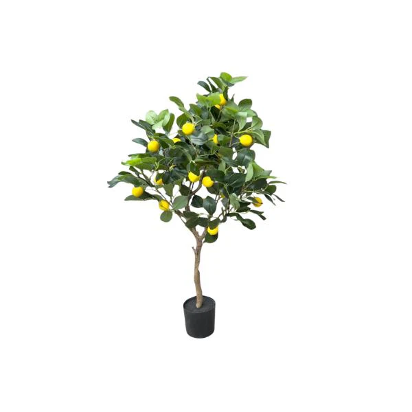 Green Lemon Tree - 90cm - Image 3
