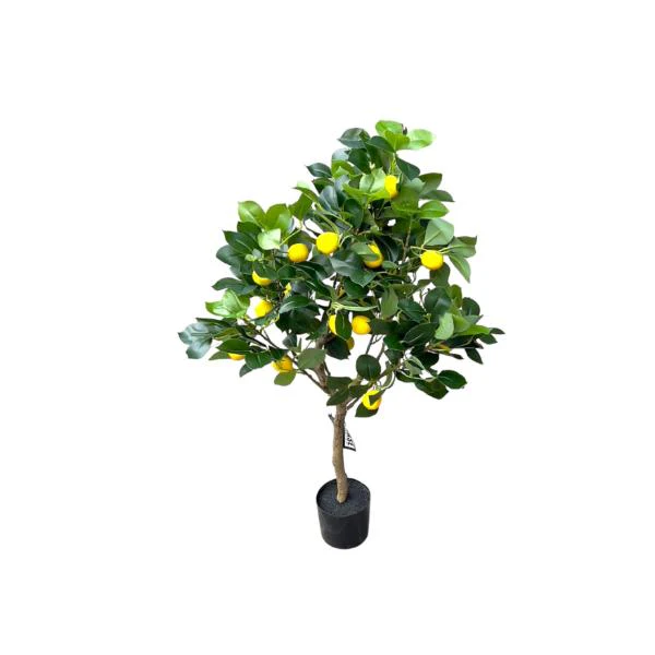Green Lemon Tree - 90cm - Image 4