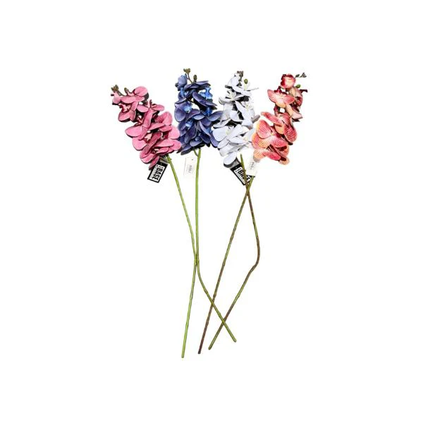 Long Orchid - Image 5