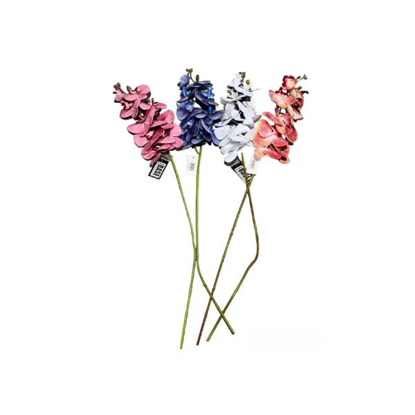 Long Orchid - Image 6