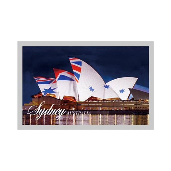 Sydney Vivid Flag Magnet