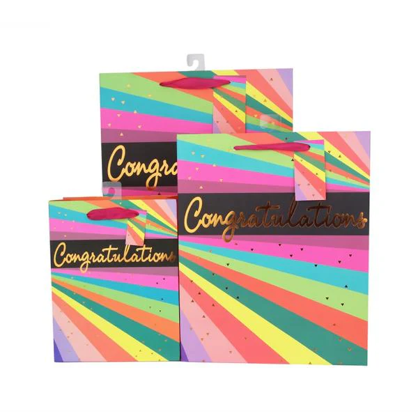 X Large Neon Stripes Gift Bag - 30cm x 42cm x 12cm - Image 2