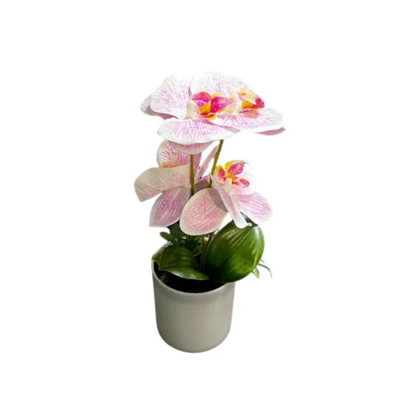 Orchid Pot - 25cm - Image 2