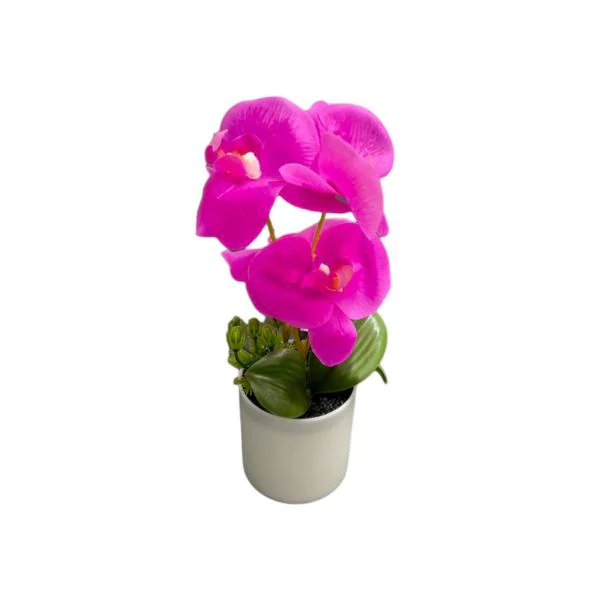 Orchid Pot - 25cm - Image 3