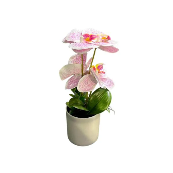 Orchid Pot - 25cm - Image 5
