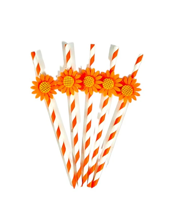 5 Pack Daisy Paper Straw - Image 3