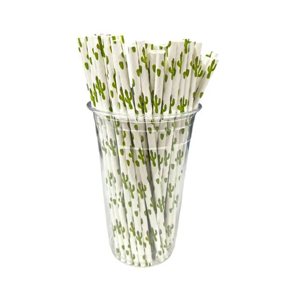 50 Pack Cacti Straws - Image 2