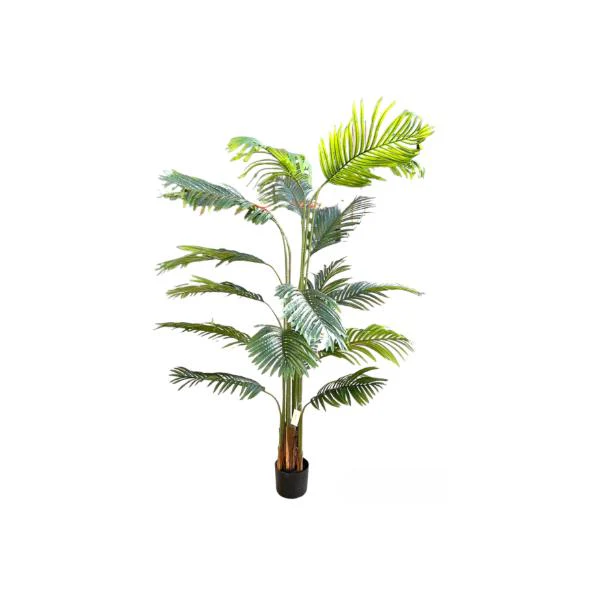 Palm Tree Potted Plant - 200cm - Image 2