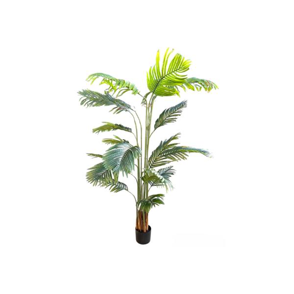 Palm Tree Potted Plant - 200cm - Image 3