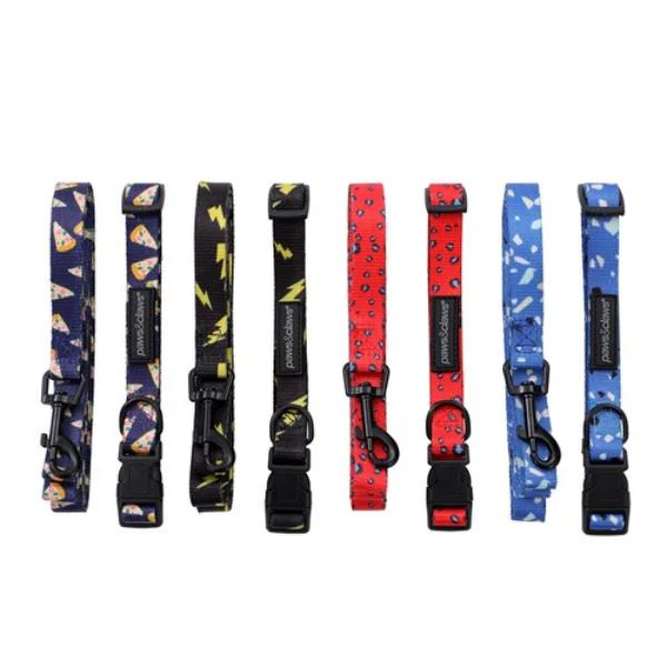 Small Park Life Collar & Lead Set
