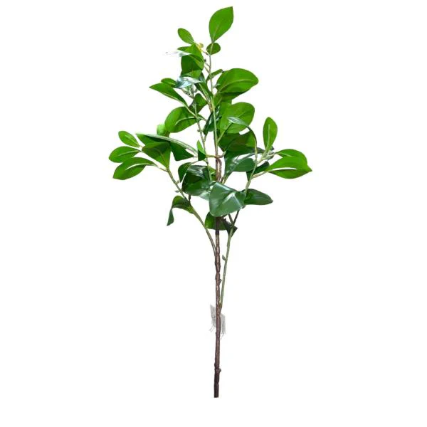 Peperomia Leaf Spray - 88cm