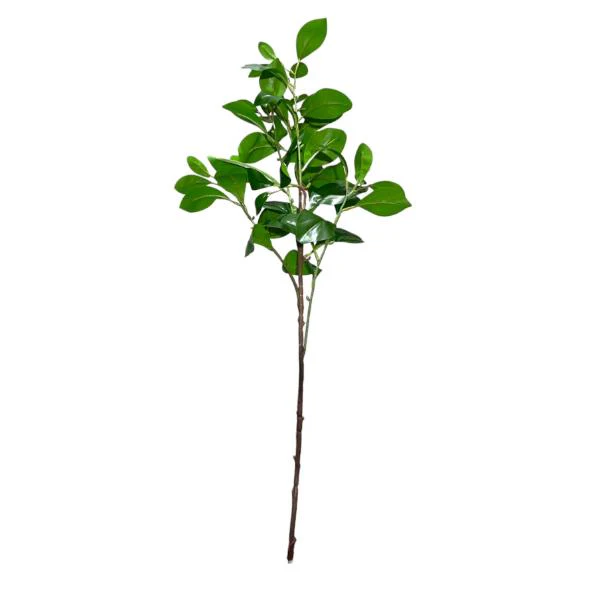 Peperomia Leaf Spray - 88cm - Image 2